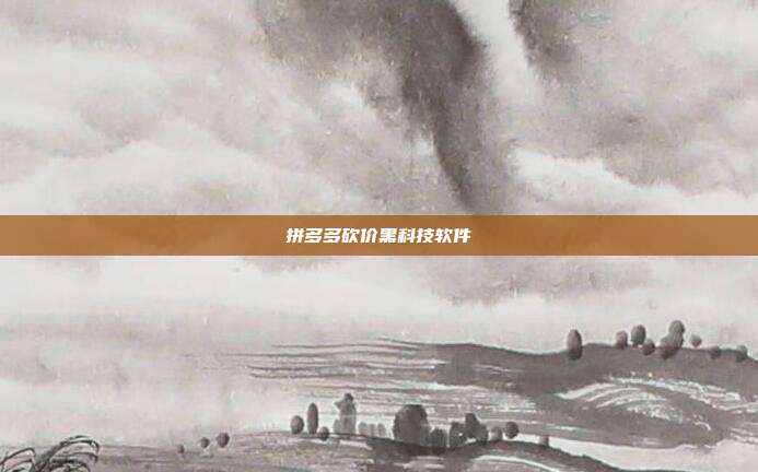 拼多多砍价黑科技软件