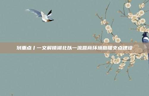 划重点丨一文解锁湖北以一流营商环境助推支点建设