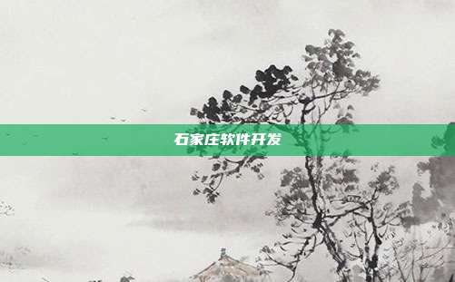 石家庄软件开发
