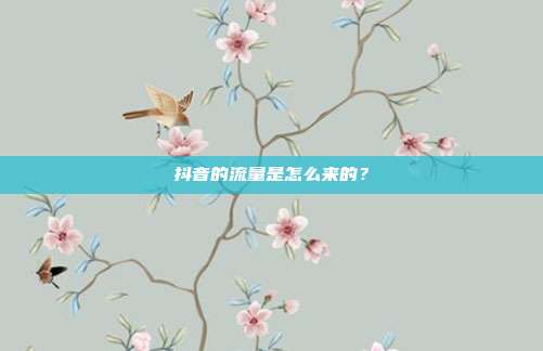 抖音的流量是怎么来的?