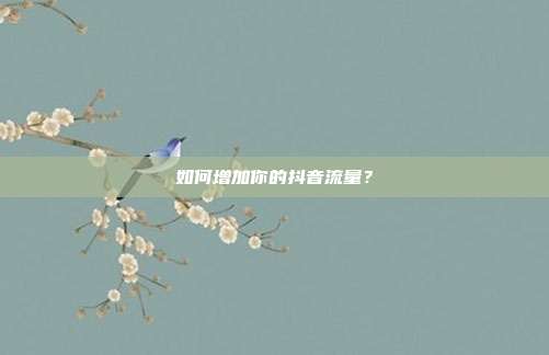 如何增加你的抖音流量?