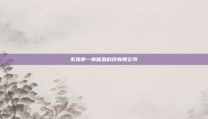 东莞市一奇信息科技有限公司