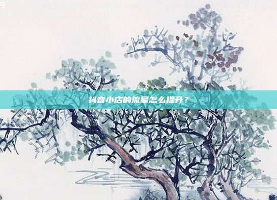 抖音小店的流量怎么提升?