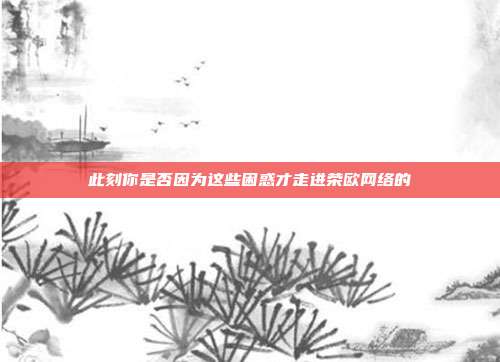 此刻你是否因为这些困惑才走进荣欧网络的