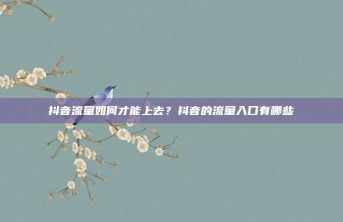 抖音流量如何才能上去?抖音的流量入口有哪些