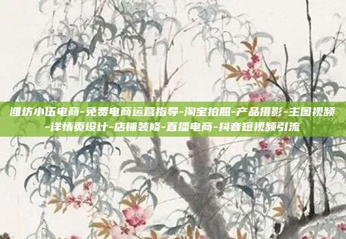 潍坊小伍电商-免费电商运营指导-淘宝拍照-产品摄影-主图视频-详情页设计-店铺装修-直播电商-抖音短视频引流
