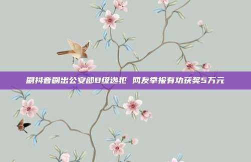 刷抖音刷出公安部B级逃犯 网友举报有功获奖5万元
