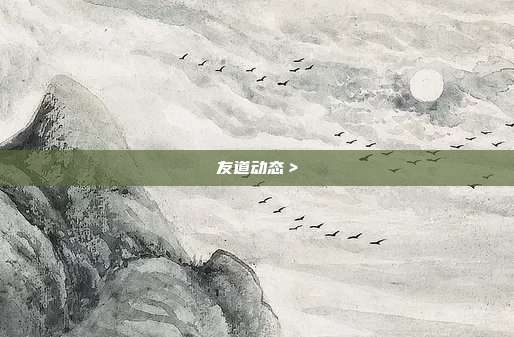友道动态＞