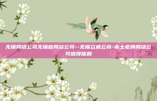 无锡网络公司无锡做网站公司--无锡立威云商-本土老牌网络公司值得信赖