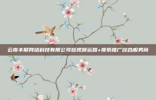 云南丰聚网络科技有限公司短视频运营+搜索推广综合服务商