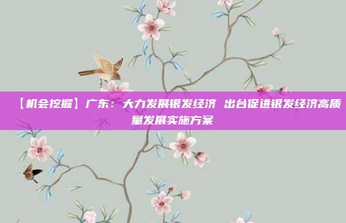 【机会挖掘】广东:大力发展银发经济 出台促进银发经济高质量发展实施方案