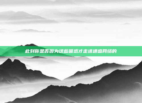 此刻你是否因为这些困惑才走进通盛网络的