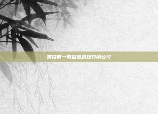 东莞市一奇信息科技有限公司