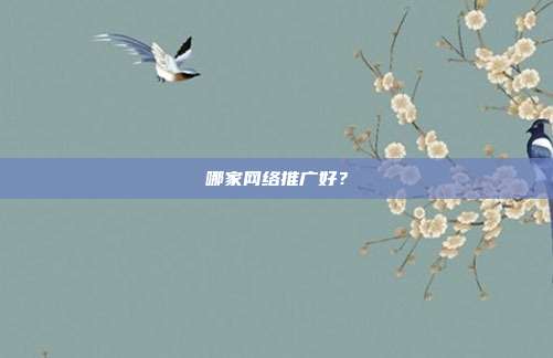 哪家网络推广好?