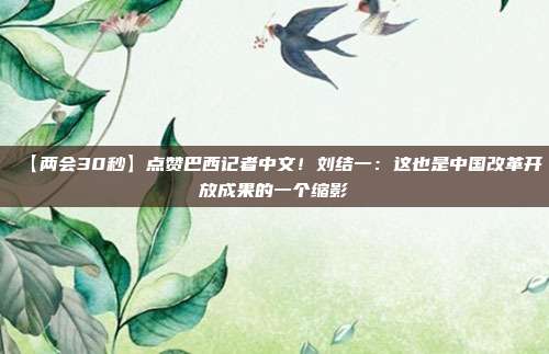 【两会30秒】点赞巴西记者中文!刘结一:这也是中国改革开放成果的一个缩影