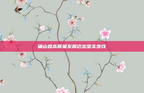 确山县高质量发展迈出坚实步伐
