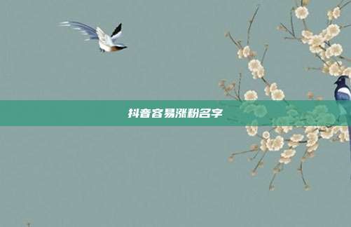 抖音容易涨粉名字