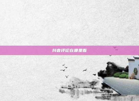 抖音评论在哪里看