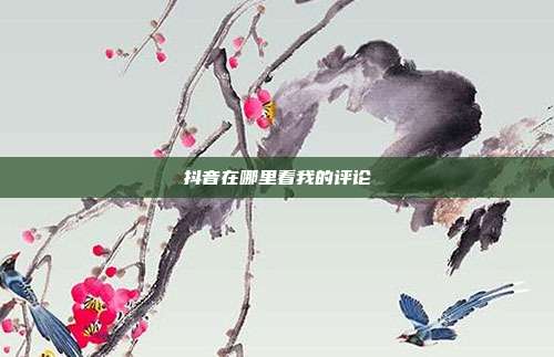 抖音在哪里看我的评论