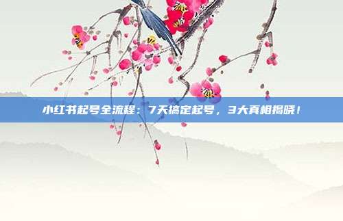 小红书起号全流程:7天搞定起号,3大真相揭晓!