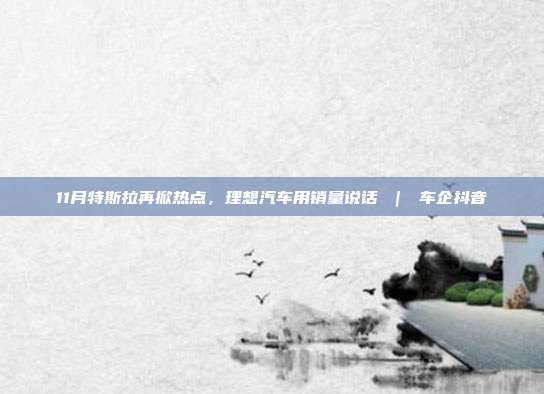 11月特斯拉再掀热点,理想汽车用销量说话 | 车企抖音
