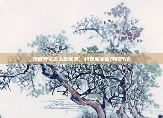 抖音新号怎么做起来,抖音起号最快的方法
