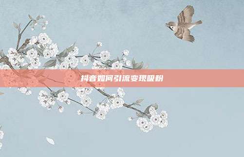 抖音如何引流变现吸粉