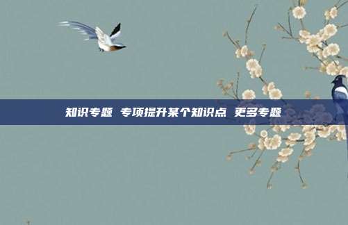 知识专题 专项提升某个知识点 更多专题
