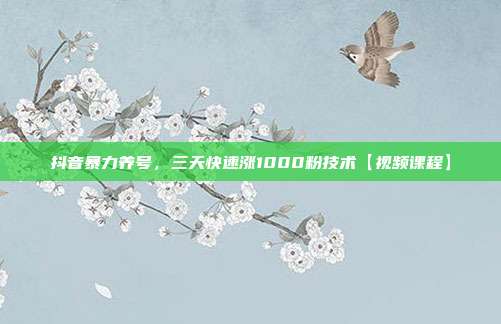 抖音暴力养号，三天快速涨1000粉技术【视频课程】