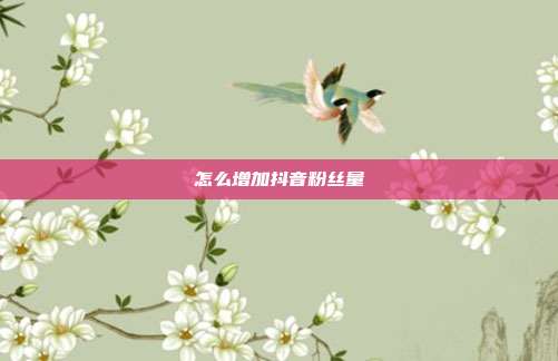 怎么增加抖音粉丝量