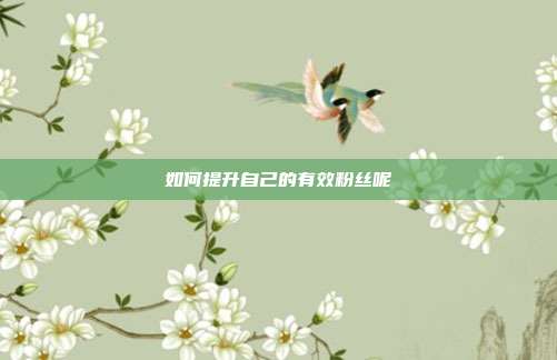 如何提升自己的有效粉丝呢