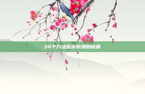 34个方法告诉你增粉秘籍