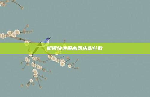 如何快速提高网店粉丝数