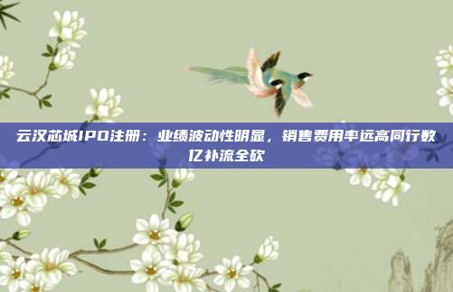 云汉芯城IPO注册：业绩波动性明显，销售费用率远高同行数亿补流全砍