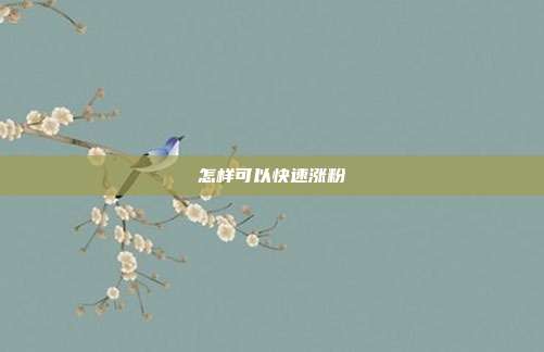 怎样可以快速涨粉