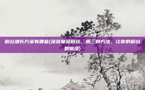 粉丝增长方案有哪些(没流量没粉丝，用三种方法，让你的粉丝翻倍涨)