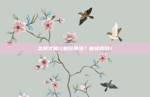 怎样才能让粉丝暴涨？秘诀揭晓！