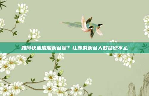 如何快速增加粉丝量？让你的粉丝人数猛涨不止