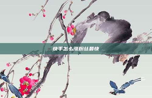 快手怎么涨粉丝最快