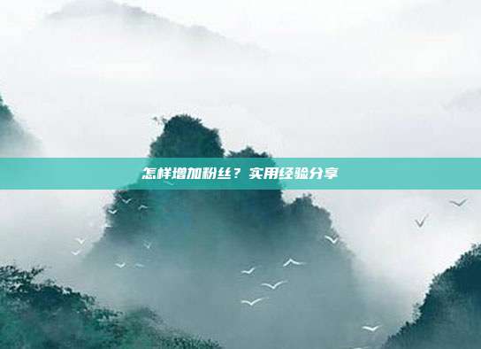 怎样增加粉丝？实用经验分享