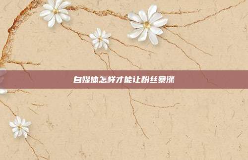 自媒体怎样才能让粉丝暴涨