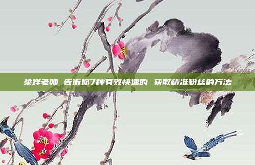 梁烨老师 告诉你7种有效快速的 获取精准粉丝的方法