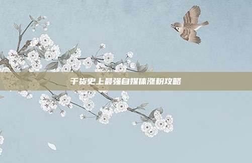 干货史上最强自媒体涨粉攻略