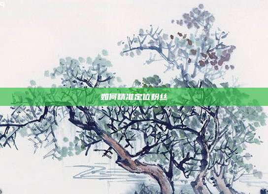 如何精准定位粉丝