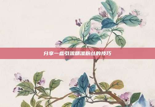 分享一些引流精准粉丝的技巧