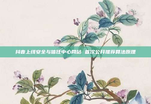 抖音上线安全与信任中心网站 首次公开推荐算法原理