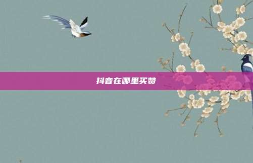 抖音在哪里买赞