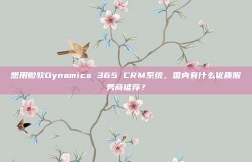 想用微软Dynamics 365 CRM系统，国内有什么优质服务商推荐？