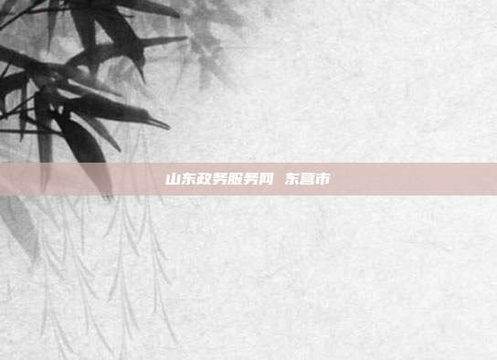山东政务服务网 东营市