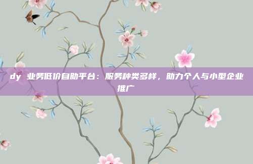 dy 业务低价自助平台：服务种类多样，助力个人与小型企业推广